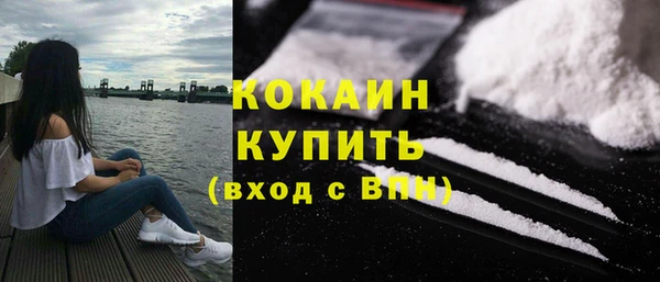 гашик Верея