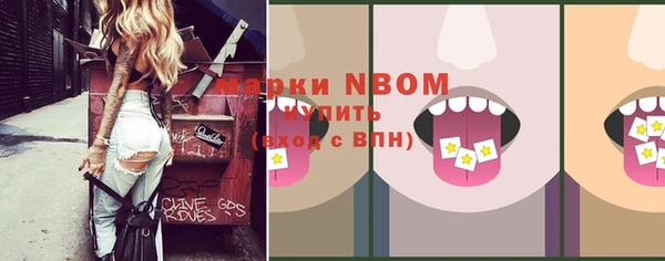 гашик Верея