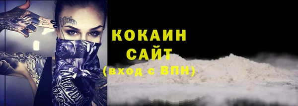 гашик Верея