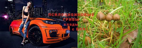 тгк Верхний Тагил
