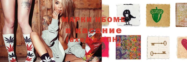 гашик Верея
